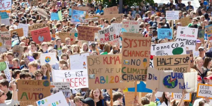 Demonstration von Fridays for Future in Hamburg