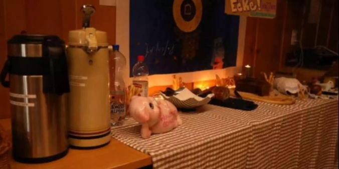 Schwein gehabt - auch für Verpflegung ist gesorgt