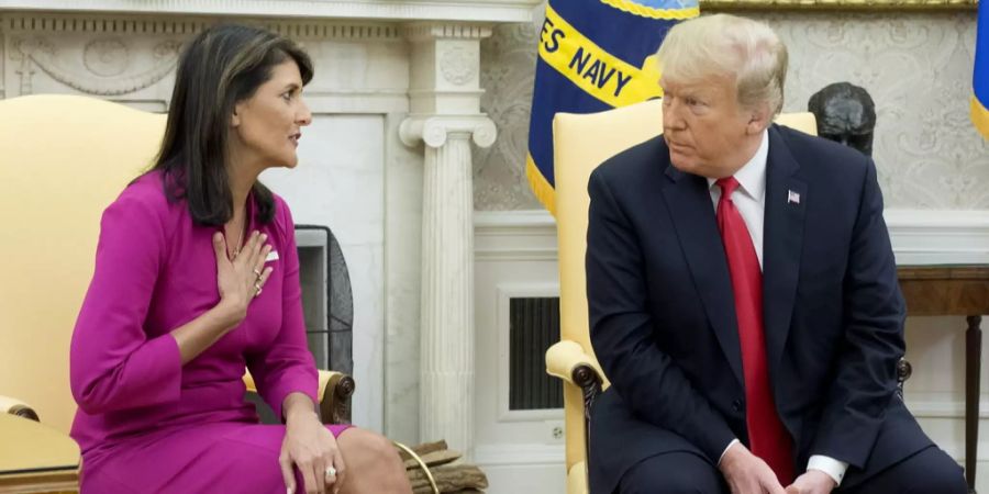 trump nikki haley