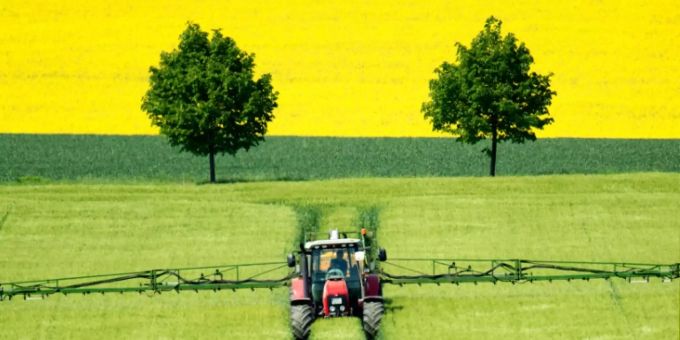 Bei der Bio-Landwirtschaft spielen Pestizide eine geringere Rolle. Pestizide Bio
