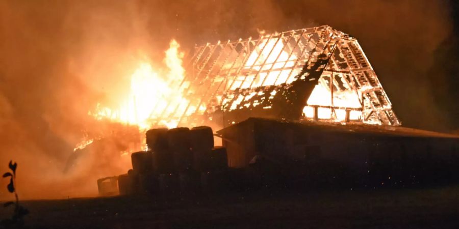 brand