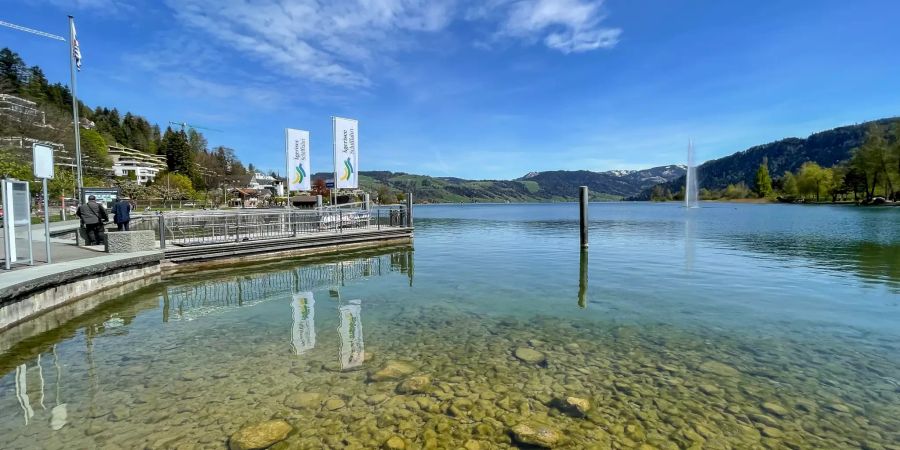 Ausblick Ägerisee