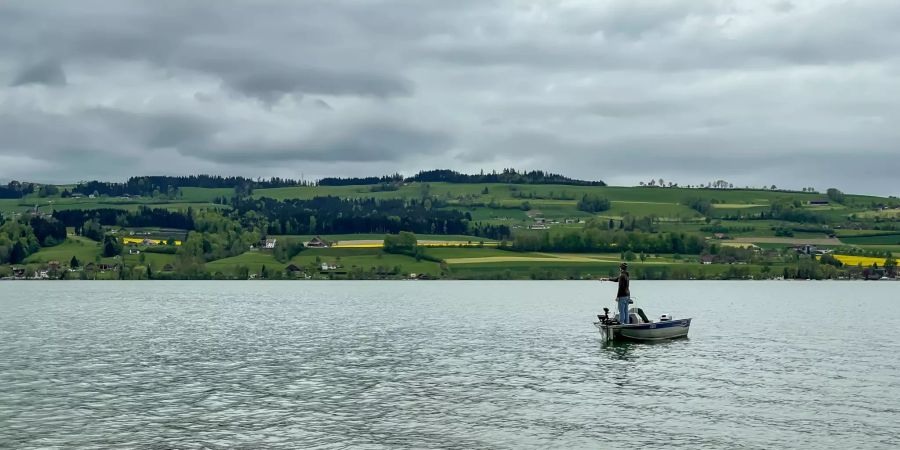 Der Sempachersee im Kanton Luzern.