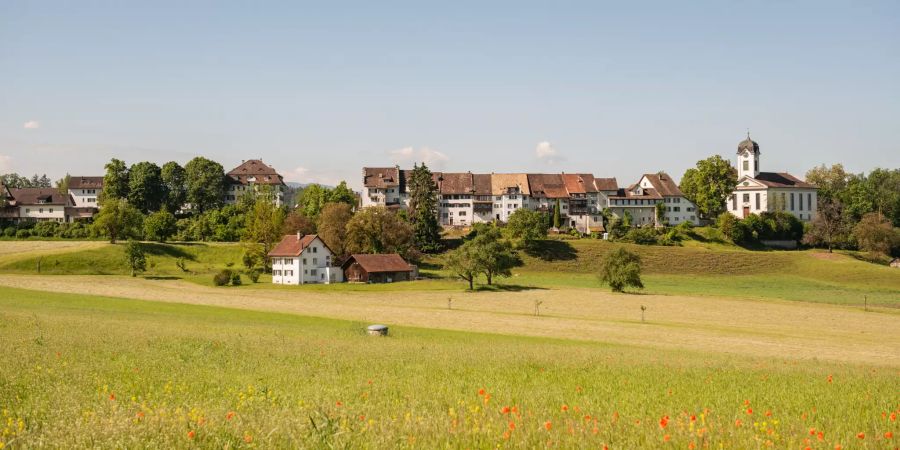 Die Ortsübersicht Gemeinde Grüningen (ZH).