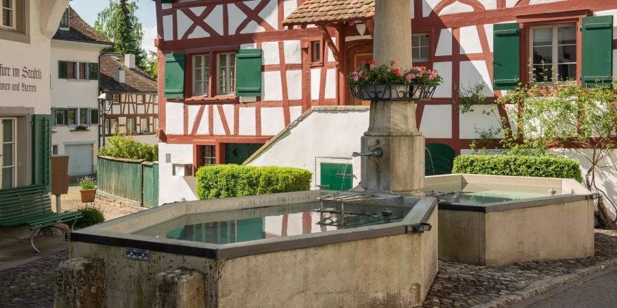 Der Dorfbrunnen in Grüningen (ZH).