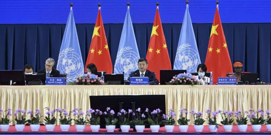Die 15. UN-Weltnaturschutzkonferenz findet im chinesischen Kunming statt. Foto: Chen Yehua/XinHua/dpa
