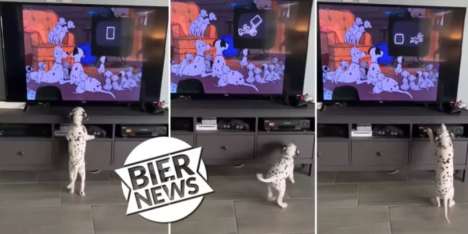 Wedelt mit Schwanz - Dalmatiner-Welpe erkennt sich in Trick-Film wieder