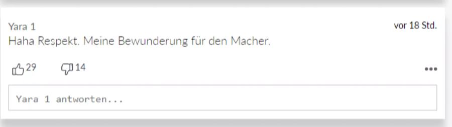 Yara 1 feiert vor allem die Personen hinter den Fakes.