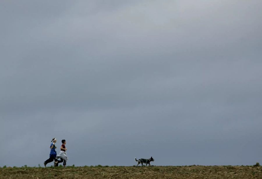 Zwei Joggerinnen laufen mit ihrem Hund unter grauen Wolken über ein Feld.