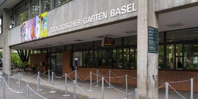 Der Basler Zoo empfängt in diesem schönen März jeden Tag zahlreiche Besucher. Zoo Basel Coronavirus