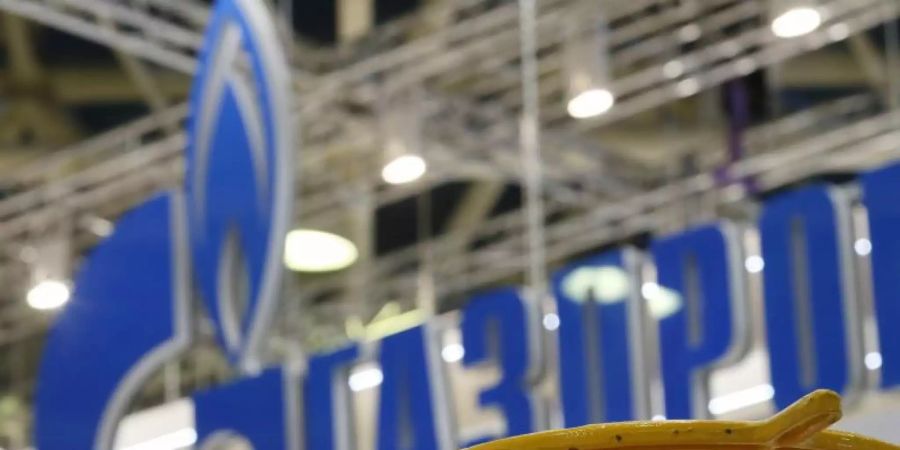 Gazprom beginnt mit Gaslieferungen nach Europa. Foto: Sergei Ilnitsky/EPA/dpa
