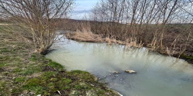 Verschmutzung des Wasserlaufs Palon in Prez-vers-Noréaz Verschmutzung des Wasserlaufs Palon in Prez-vers-Noréaz