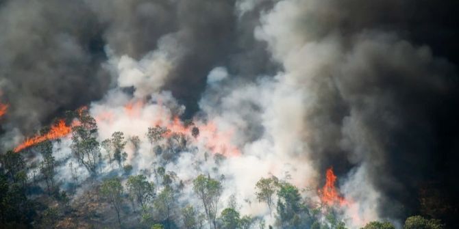 Feuer im Regenwald