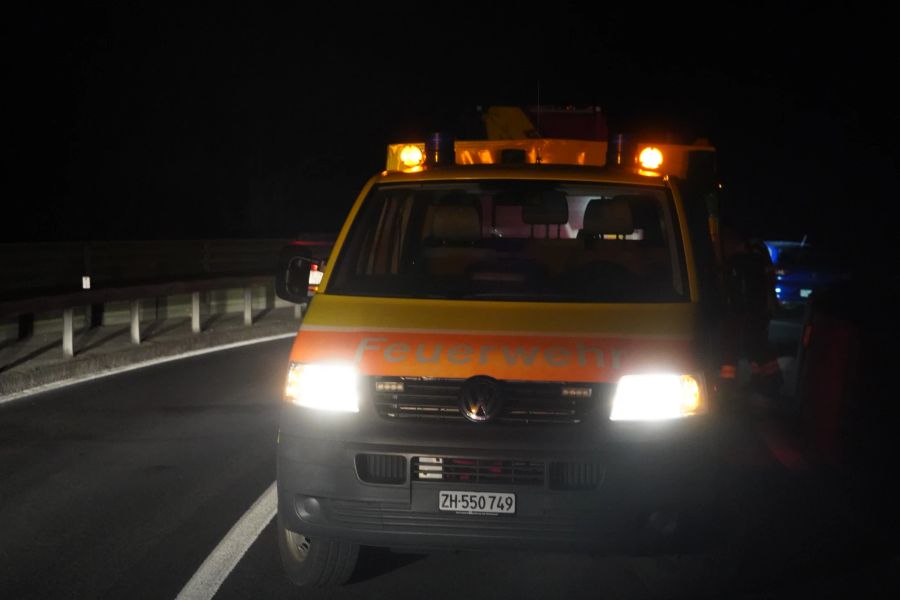 Die Feuerwehr Horgen stand im Einsatz.