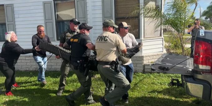 Rettete Hund - Seniorin (85) in US-Alterssiedlung von Alligator getötet