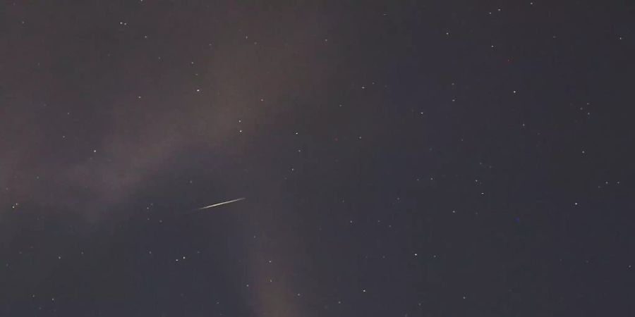 Eine Sternschnuppe zischt quer durch den Schweif des Kometen und hinterlässt eine kurze Strichspur auf dem Foto. (Bild vom 18. Juli)