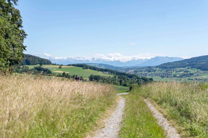 Die Aussicht über Dürrenäsch.