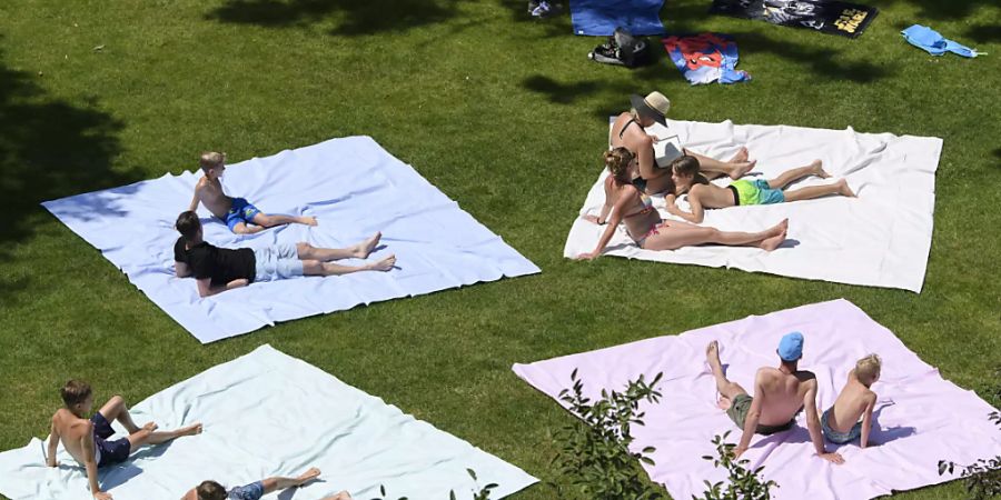 Mehrere Personen posieren für den Fotografen auf den Könizer XXL-Badetüchern, welche die Gemeinde Interessenten vermietet oder verkauft.