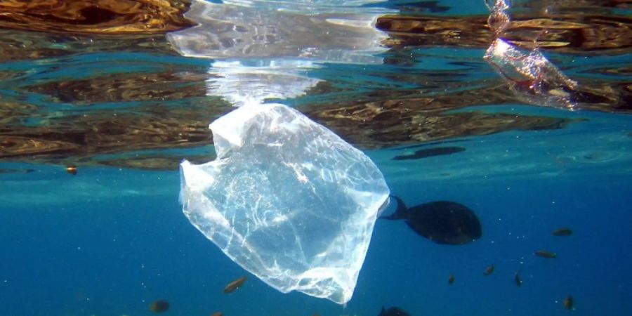 Obwohl Japan den zweitgrössten Plastikverbrauch weltweit hat nach den USA, hat das Land erst (gestern) am 1. Juli 2020 die Gratisabgabe von Plastik-Einkaufssäckchen verboten. Die Tüten sind so gut wie nicht abbaubar. (Archivbild)