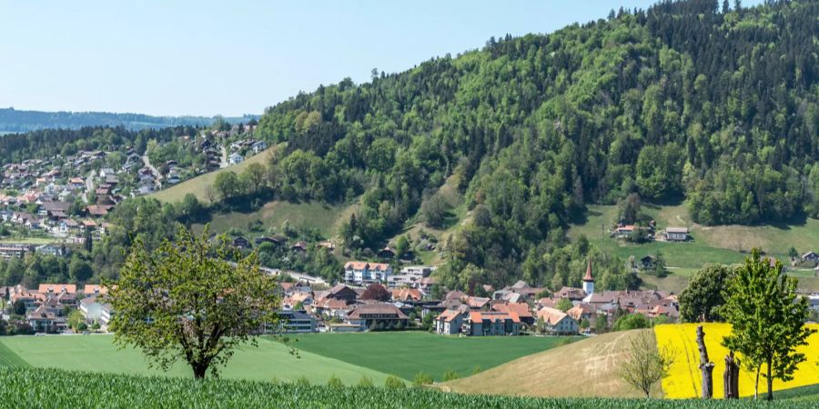 Blick auf Oberdiessbach.