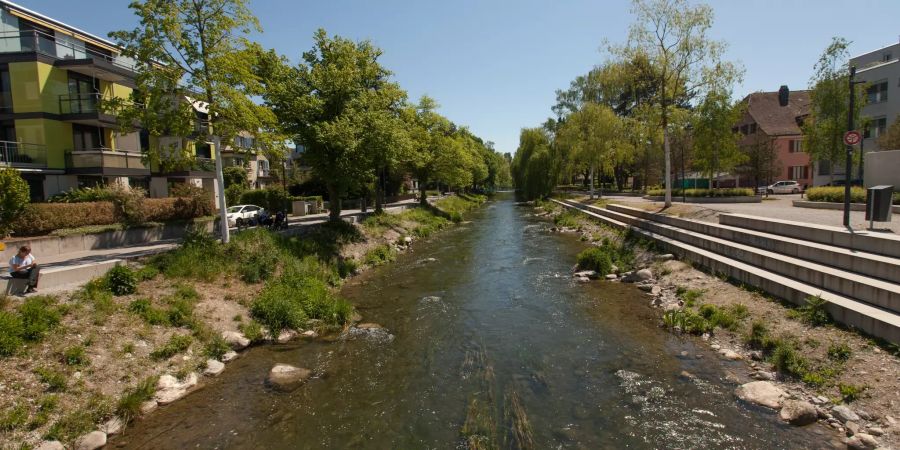 Die Glatt in Dübendorf.