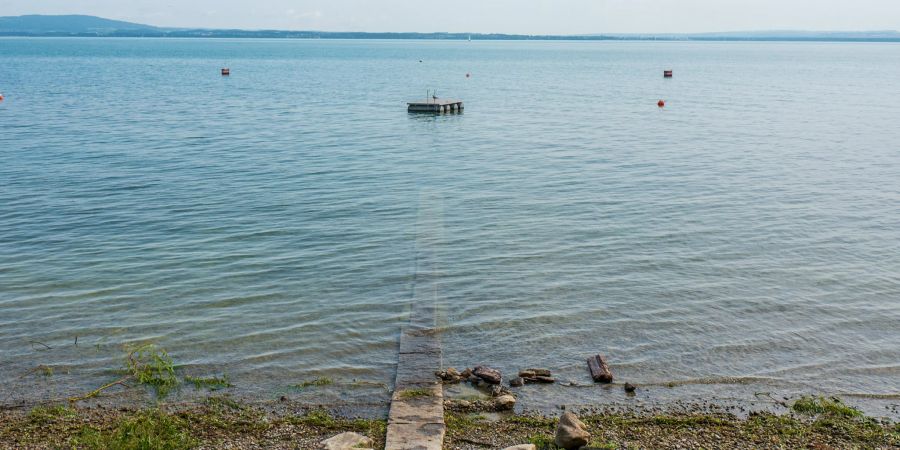 Floss im Bodensee
