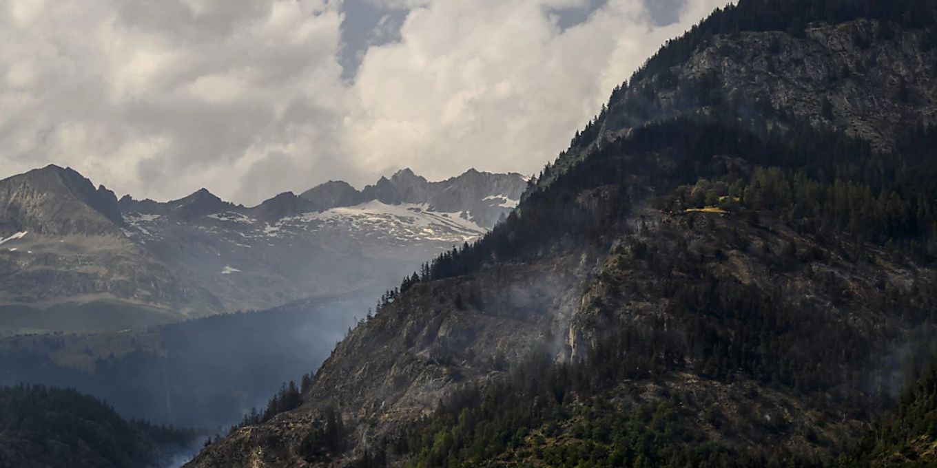 Ein Jahr nach Waldbrand in Bitsch VS spriessen erste Baumtrieb | Nau.ch