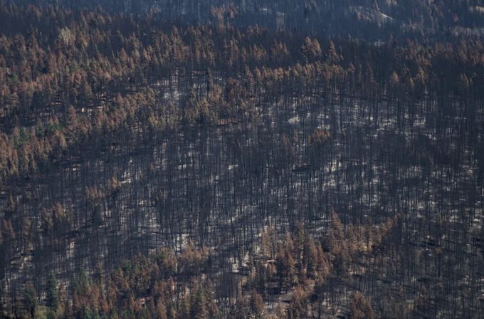 In Kanada toben auch dieses Jahr heftige Waldbrände. Kanada