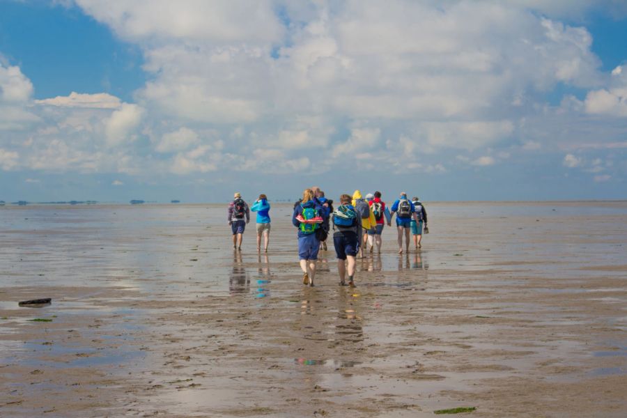 Insel Föhr am Horizont