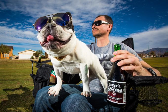 Anstossen mit dem Vierbeiner? Immer – aber bitte mit dem passenden flüssigen Leckerli. Mann Hund Alkohol No-Go