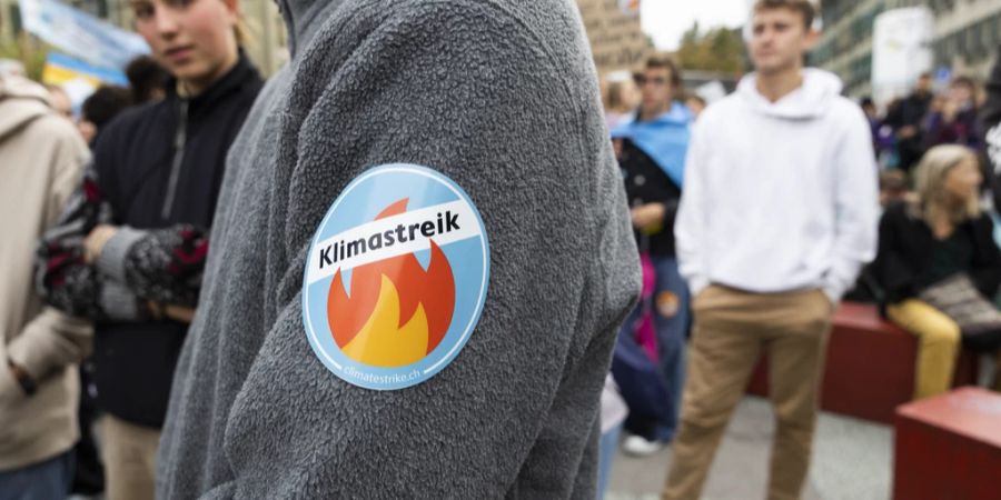 Klimastreik Schweiz Ökofaschismus