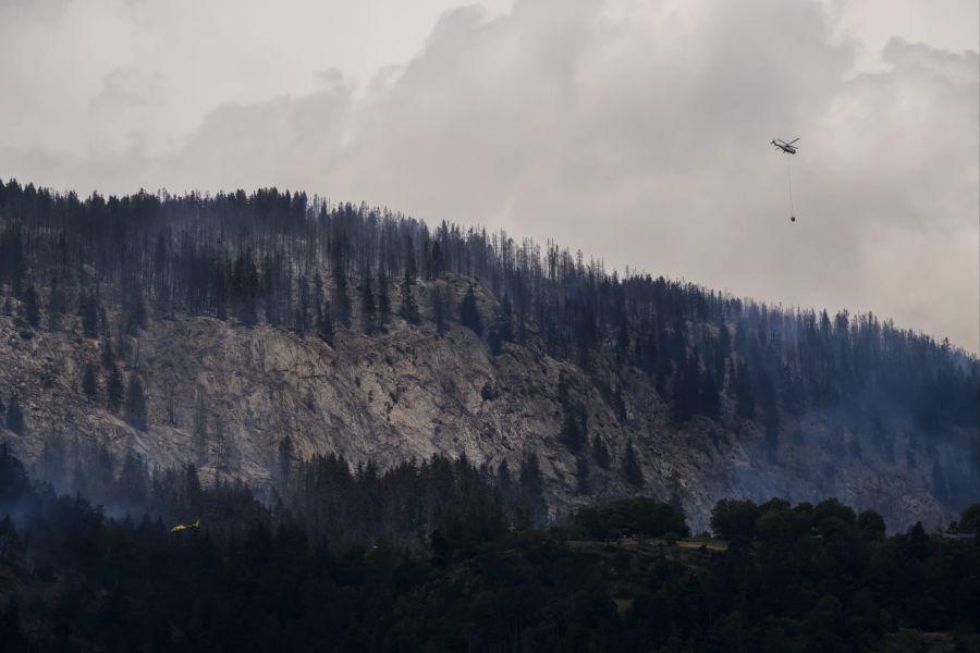 Ein Super Puma der Schweizer Armee im Einsatz gegen den Waldbrand im Wallis.