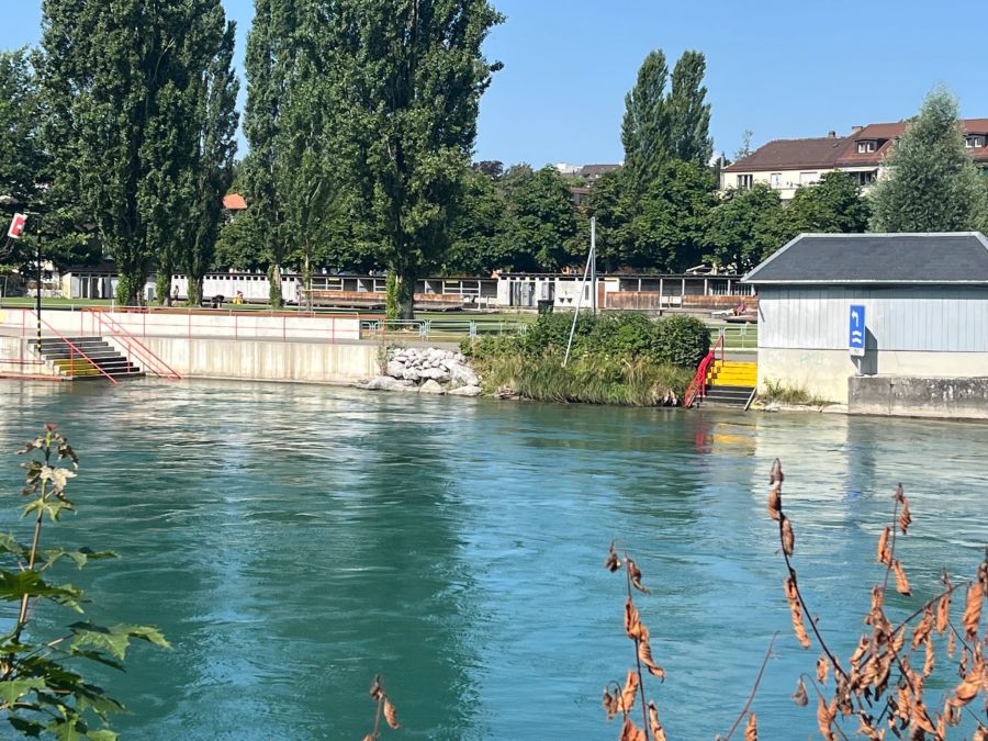 Im Sonnenlicht ist die gelbschwarze Farbe sehr gut zu sehen.