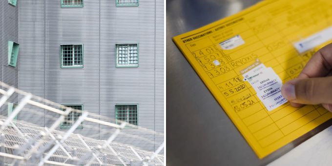 Wegen eines gefälschten Impfpasses wurde ein Deutscher zu einer bedingten Freiheitsstrafe verurteilt. (Symbolbild) Corona