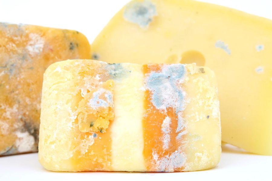 Hartkäse Schimmelbefall weiss blau