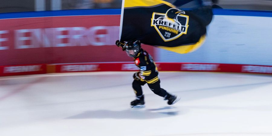 Krefeld Pinguine