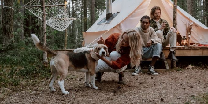 Ein tolles Erlebnis für alle: Camping mit dem Hund. Hund und Camper
