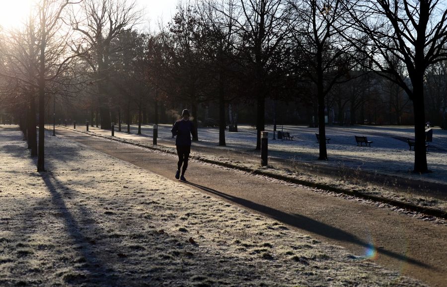 Park Winter Jogger