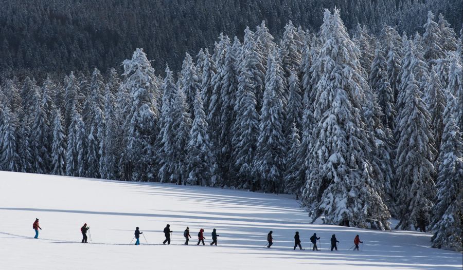 Schneewandergruppe Schnee Wald