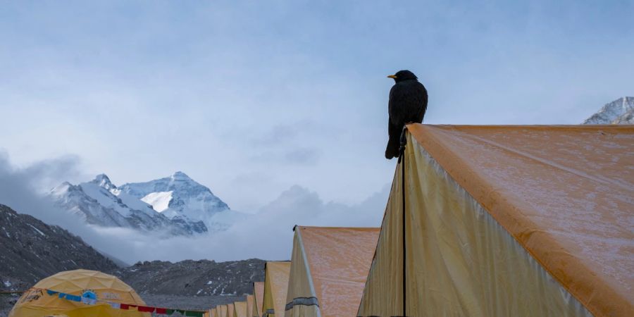 Wegen des Klimawandels könnten sich grosse Gletscherseen bilden, und diese könnten irgendwann über das Basislager hereinbrechen. Die Regierung in Nepal denkt daher über eine Verlegung nach.