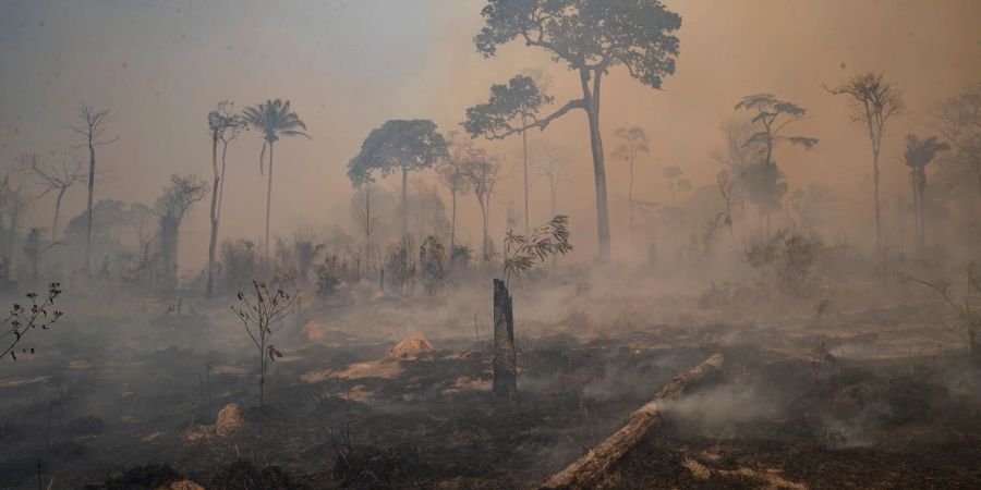 Rauch steigt bei einem Brand im Amazonas-Gebiet auf.