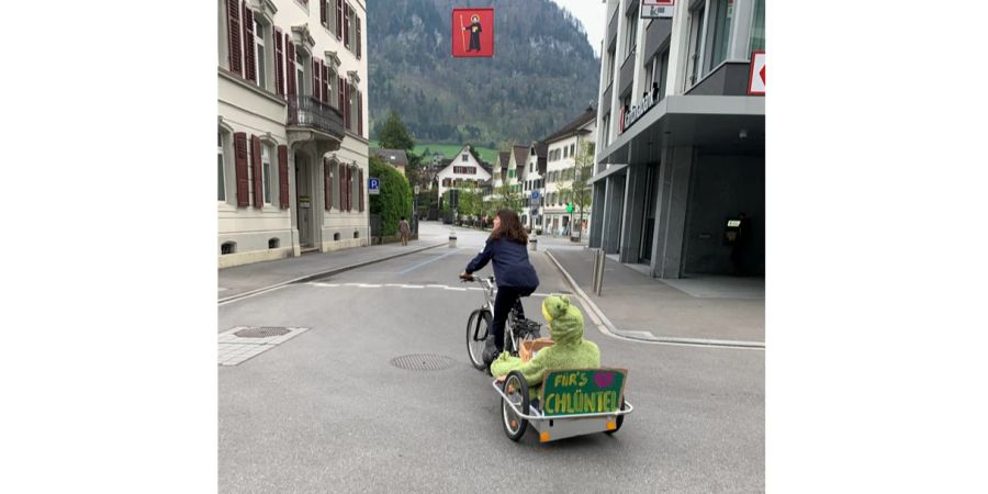 Junge Grüne Glarus