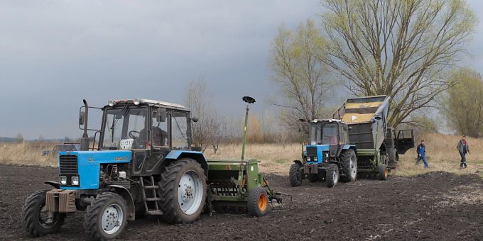 Die westlichen Staaten wollen der Ukraine beim Export von Agrarprodukten helfen. (Archivbild) Weizen