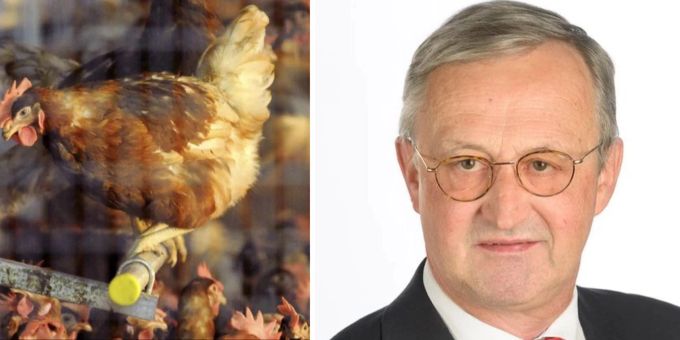 Gastbeitrag - Zuger SVP-Kantonsrat über Massentierhaltungsinitiative