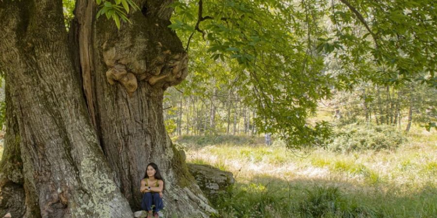 Studienautorin Caterina Beffa unter einem ihrer Studienobjekte auf dem Monte die Orsina, oberhalb von Giornico TI.