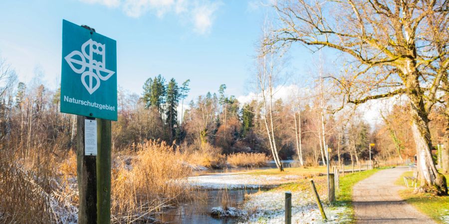 Das Naturschutzgebiet Rumensee in Küsnacht (ZH).