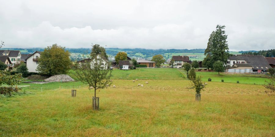 Landwirtschaft in Besenbüren.