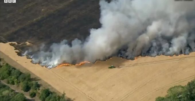 Das Feuer zerstörte praktisch das ganze Getreide-Feld. BBC