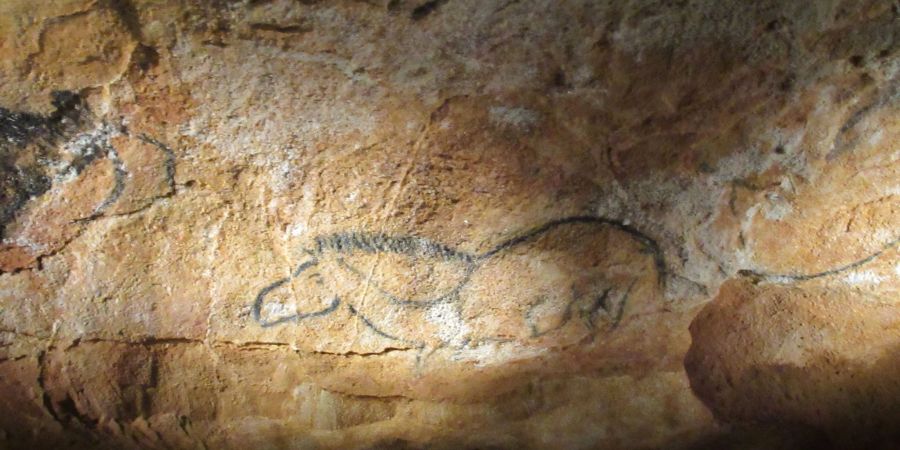 Eine Reproduktion einer Höhlenzeichnung ist in einer Nachbildung der Cosquer-Höhle in Marseille.