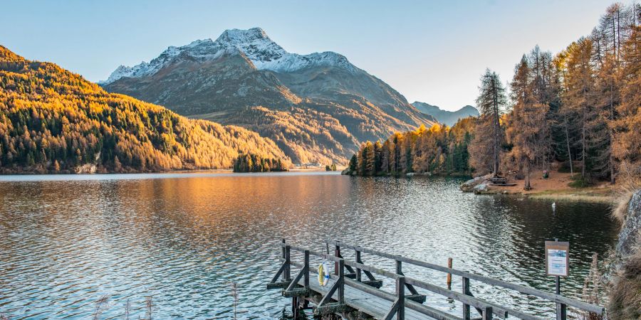 Der Silsersee im Oberengadin. - Sils / Engadin